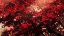 Discovery splash banner for Twilight | DMs โ Egirls โ VCs โ Non Dating โ Emotes Discord server