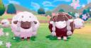 Discovery splash banner for “ 🌾 𐄹 Cotton Cloud Corner 𐄹 🐑 ” Discord server