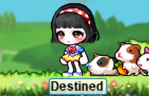 Discovery splash banner for Fashion Central Discord server