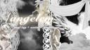 Discovery splash banner for 🌟 angelcm | ANGL TAG | Nitro Giveaways 🌟 Discord server