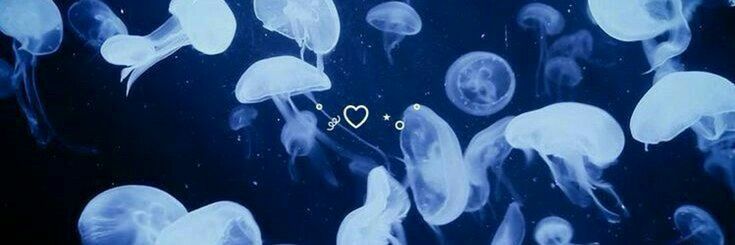 Discovery splash banner for (on revamp) ── jellyfish Discord server