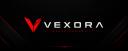 Discovery splash banner for Vexora Community Discord server