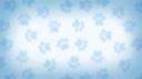 Discovery splash banner for 𓂃₊   Animal hospital unofficial  ੭ * Discord server