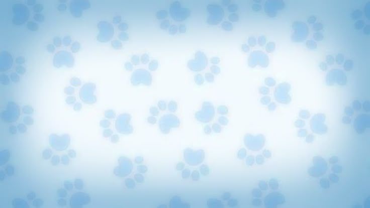 Discovery splash banner for 𓂃₊ Animal hospital unofficial ੭ * Discord server