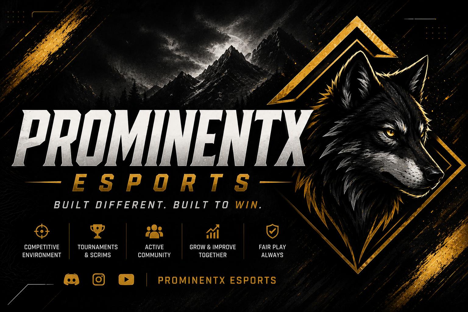 Discovery splash banner for PROMINENT-X E-SPORTS Discord server