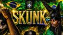 Discovery splash banner for skunk Discord server