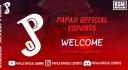 Discovery splash banner for PPJ ESPORTS 🇮🇳 Discord server
