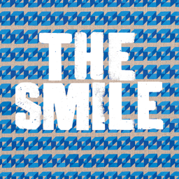 Discovery icon for The Smile Discord server