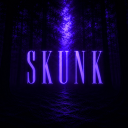 Discovery icon for skunk Discord server
