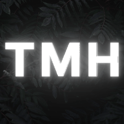 Discovery icon for TMH | APKs And Metadatas Discord server