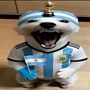 Discovery icon for ♡・MUNDIAL HOUSE (ARG)︰ଓ Discord server